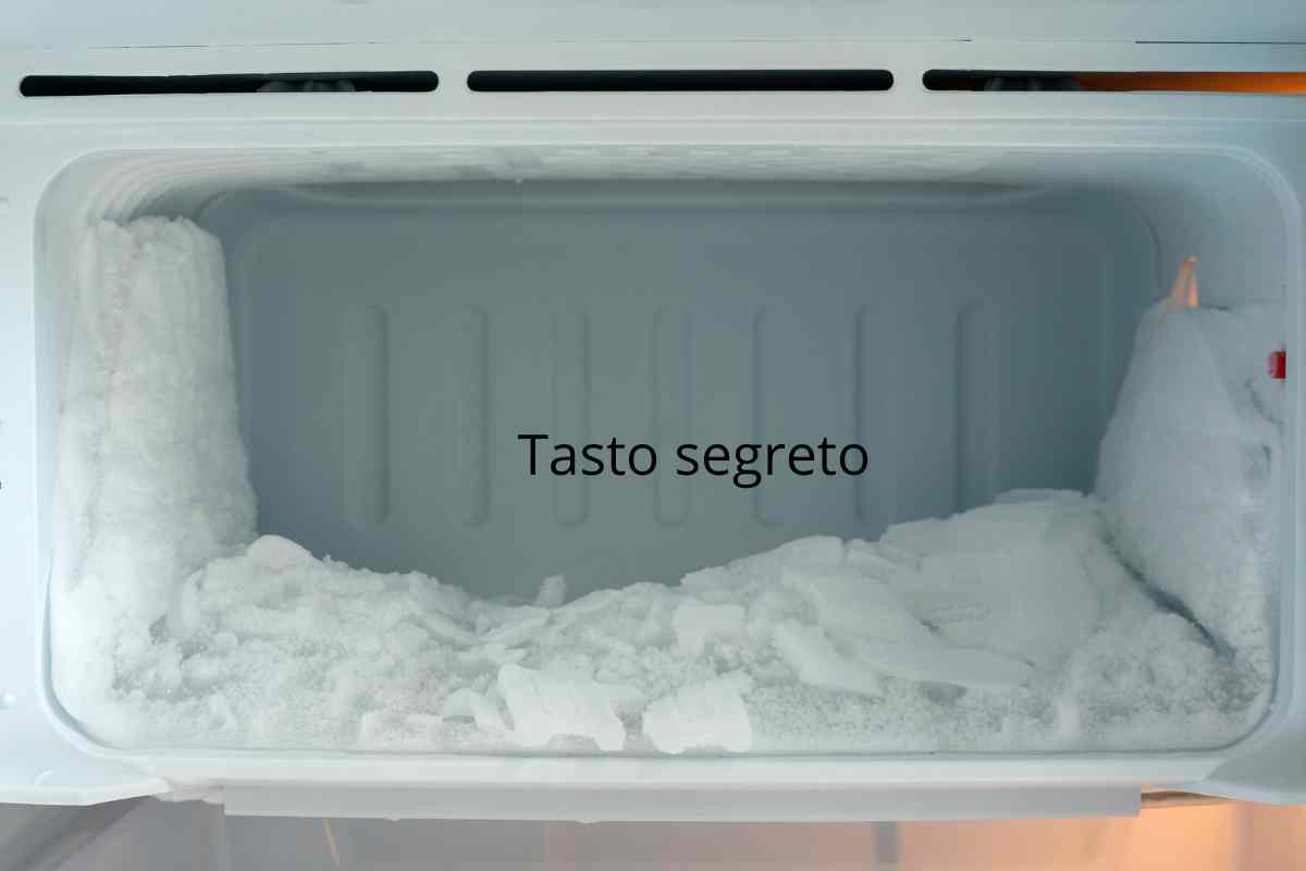 Congelatore tasto segreto ti cambia la vita